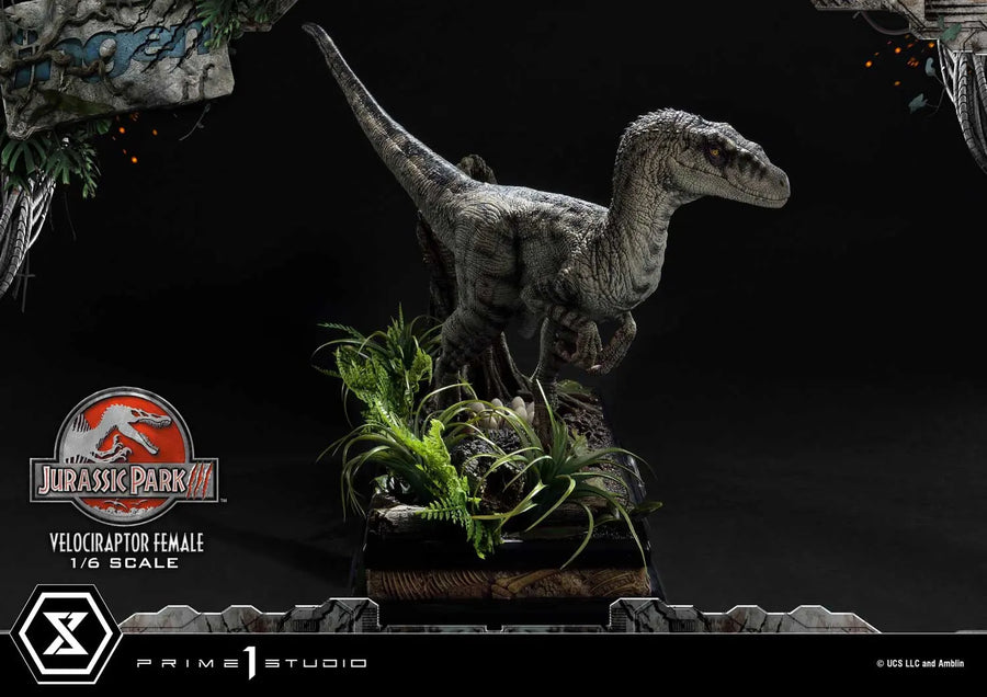 Velociraptor Female (Bonus Version) Jurassic Park III (Film) – Prime1Studio – ActionFigure Brasil