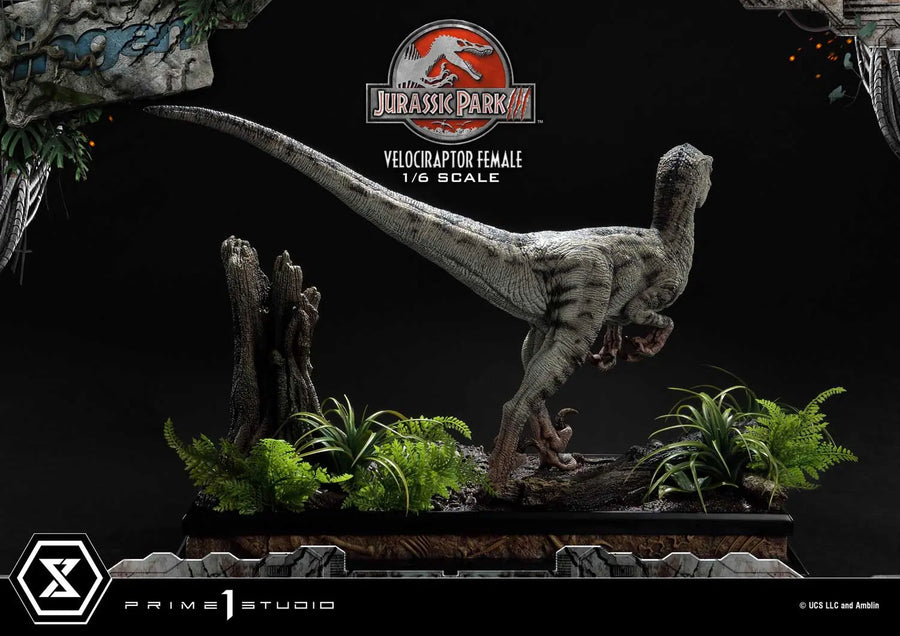 Velociraptor Female (Bonus Version) Jurassic Park III (Film) – Prime1Studio – ActionFigure Brasil