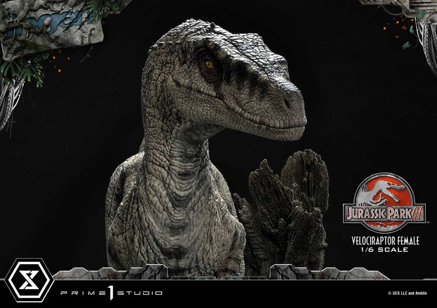 Velociraptor Female (Bonus Version) Jurassic Park III (Film) – Prime1Studio – ActionFigure Brasil