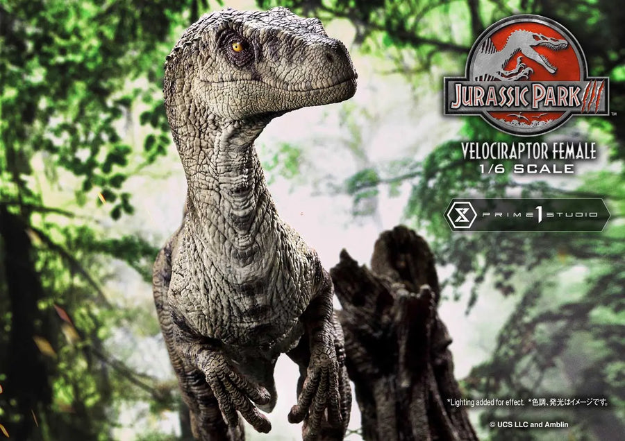 Velociraptor Female (Bonus Version) Jurassic Park III (Film) – Prime1Studio – ActionFigure Brasil