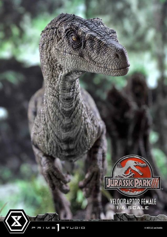 Velociraptor Female (Bonus Version) Jurassic Park III (Film) – Prime1Studio – ActionFigure Brasil