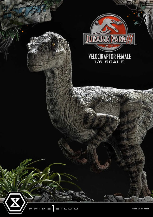 Velociraptor Female (Bonus Version) Jurassic Park III (Film) – Prime1Studio – ActionFigure Brasil