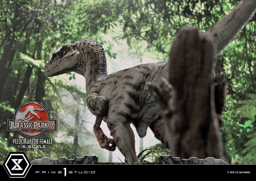 Velociraptor Female (Bonus Version) Jurassic Park III (Film) – Prime1Studio – ActionFigure Brasil
