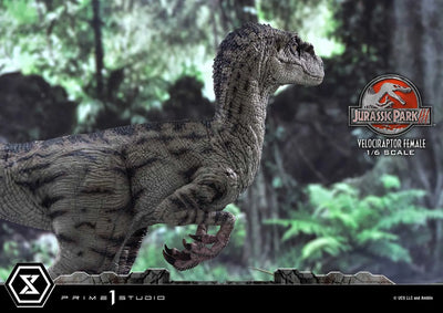 Velociraptor Female (Bonus Version) Jurassic Park III (Film) – Prime1Studio – ActionFigure Brasil