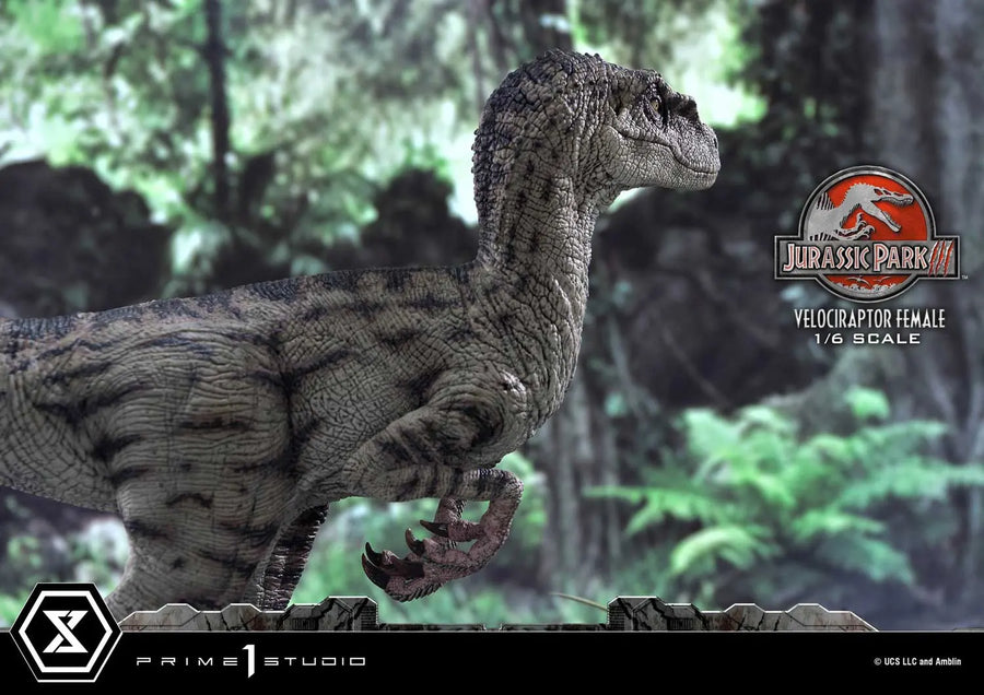 Velociraptor Female (Bonus Version) Jurassic Park III (Film) – Prime1Studio – ActionFigure Brasil