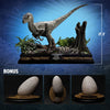 Velociraptor Female - LIMITED EDITION: TBD (Bonus Version)
