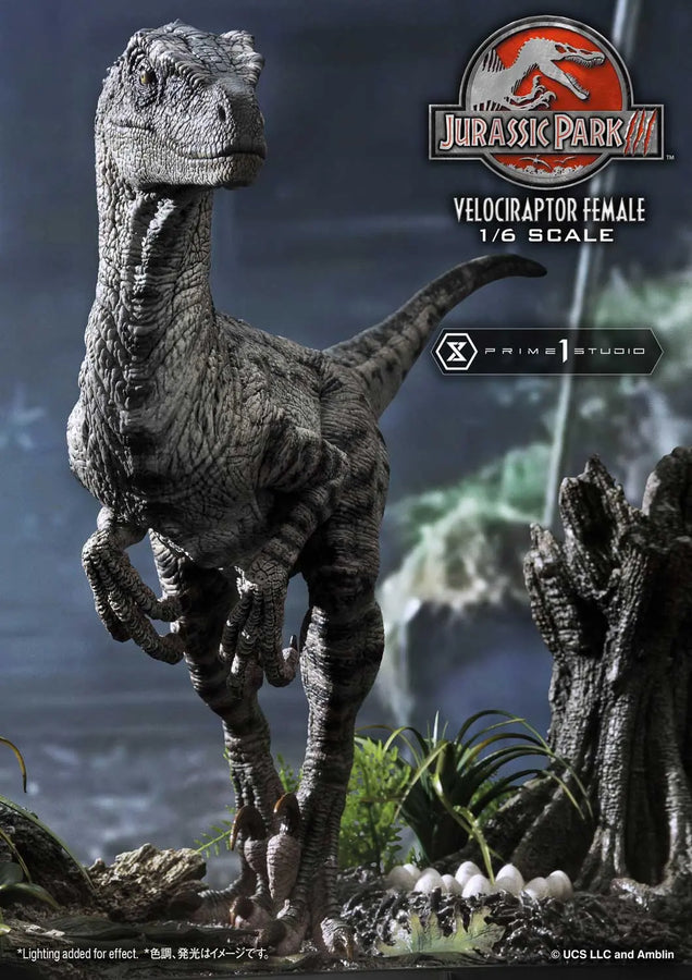 Velociraptor Female (Regular Version) Jurassic Park III (Film) – Prime1Studio – ActionFigure Brasil