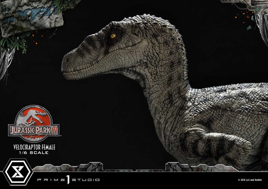 Velociraptor Female (Regular Version) Jurassic Park III (Film) – Prime1Studio – ActionFigure Brasil