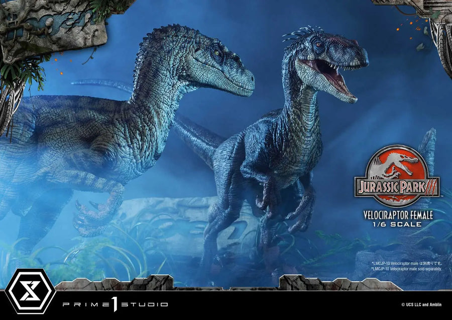 Velociraptor Female (Regular Version) Jurassic Park III (Film) – Prime1Studio – ActionFigure Brasil