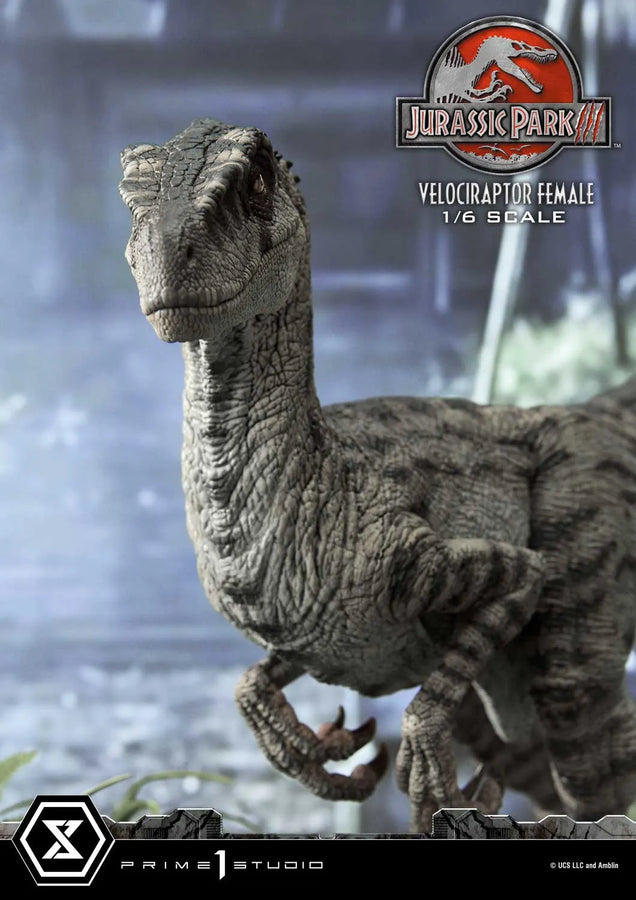Velociraptor Female (Regular Version) Jurassic Park III (Film) – Prime1Studio – ActionFigure Brasil