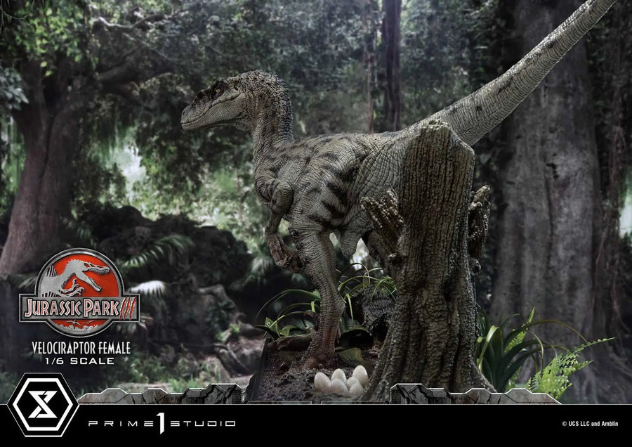 Velociraptor Female (Regular Version) Jurassic Park III (Film) – Prime1Studio – ActionFigure Brasil