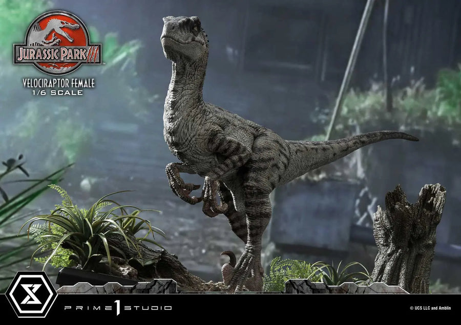Velociraptor Female (Regular Version) Jurassic Park III (Film) – Prime1Studio – ActionFigure Brasil