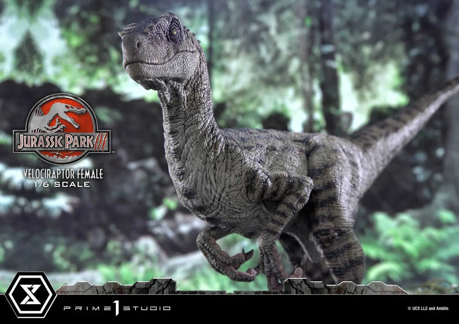 Velociraptor Female (Regular Version) Jurassic Park III (Film) – Prime1Studio – ActionFigure Brasil