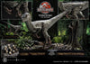 Velociraptor Female - LIMITED EDITION: TBD (Pré-venda)