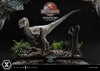 Velociraptor Female - LIMITED EDITION: TBD (Pré-venda)