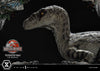 Velociraptor Female - LIMITED EDITION: TBD (Pré-venda)