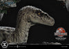 Velociraptor Female - LIMITED EDITION: TBD (Pré-venda)