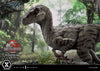 Velociraptor Female - LIMITED EDITION: TBD (Pré-venda)