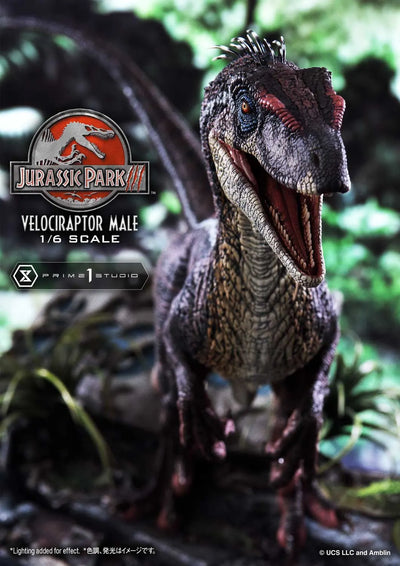 Velociraptor Male (Bonus Version) Jurassic Park III (Film) – Prime1Studio – ActionFigure Brasil
