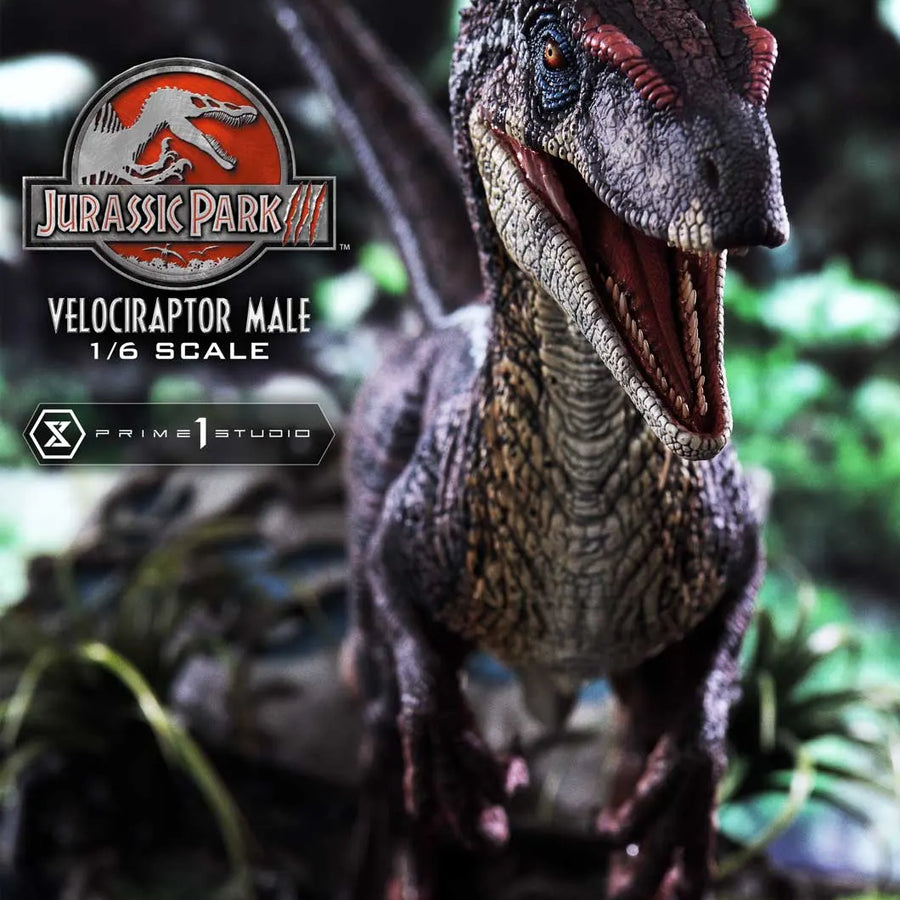 Velociraptor Male (Bonus Version) Jurassic Park III (Film) – Prime1Studio – ActionFigure Brasil
