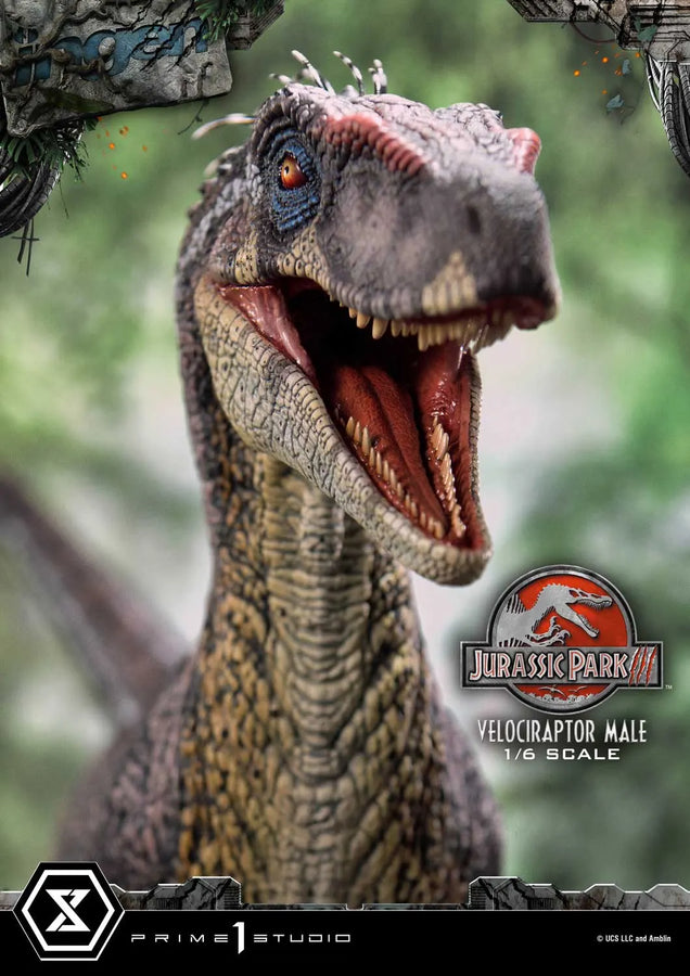 Velociraptor Male (Bonus Version) Jurassic Park III (Film) – Prime1Studio – ActionFigure Brasil