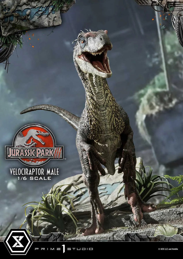 Velociraptor Male (Bonus Version) Jurassic Park III (Film) – Prime1Studio – ActionFigure Brasil