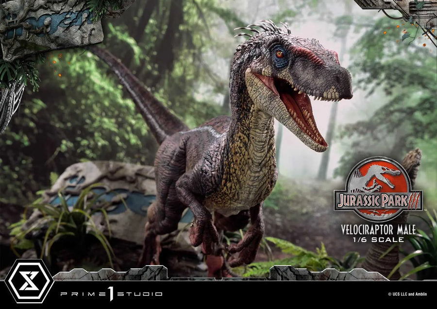 Velociraptor Male (Bonus Version) Jurassic Park III (Film) – Prime1Studio – ActionFigure Brasil