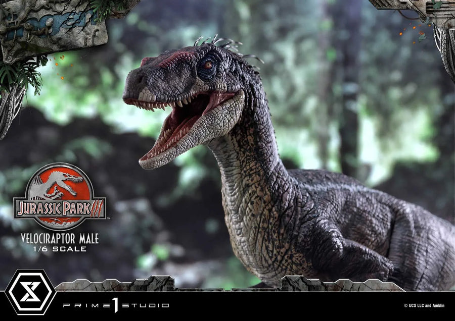 Velociraptor Male (Bonus Version) Jurassic Park III (Film) – Prime1Studio – ActionFigure Brasil