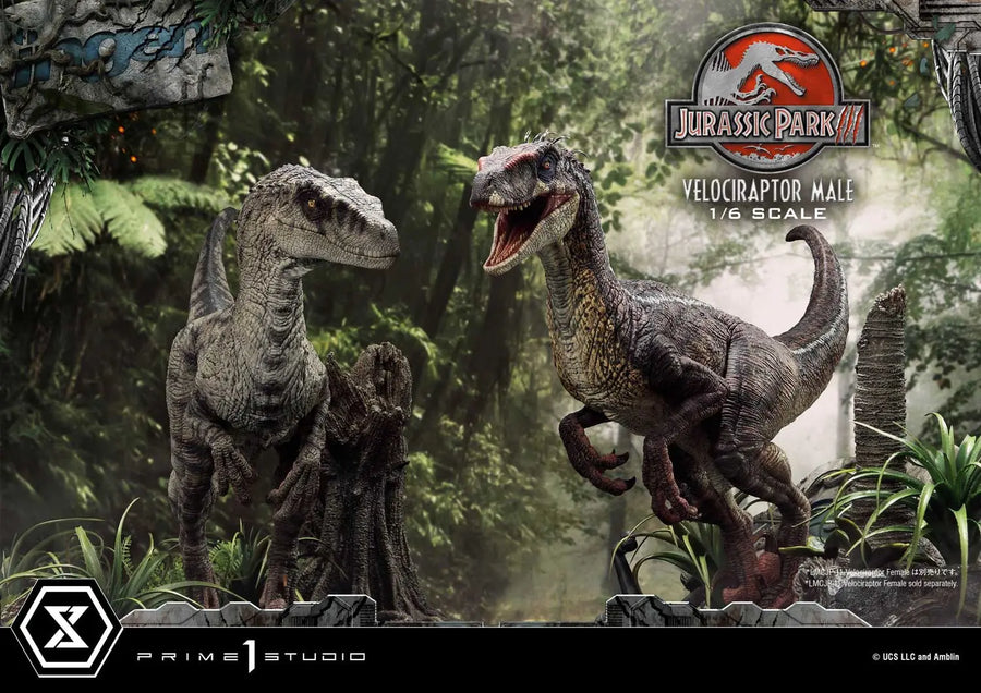 Velociraptor Male (Bonus Version) Jurassic Park III (Film) – Prime1Studio – ActionFigure Brasil