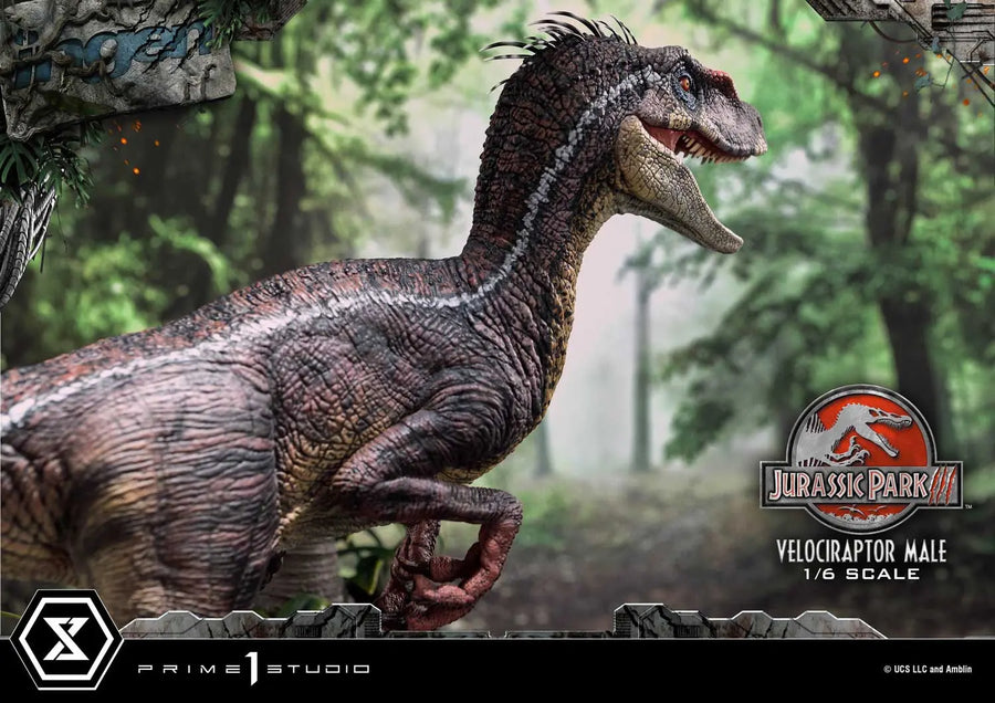 Velociraptor Male (Bonus Version) Jurassic Park III (Film) – Prime1Studio – ActionFigure Brasil