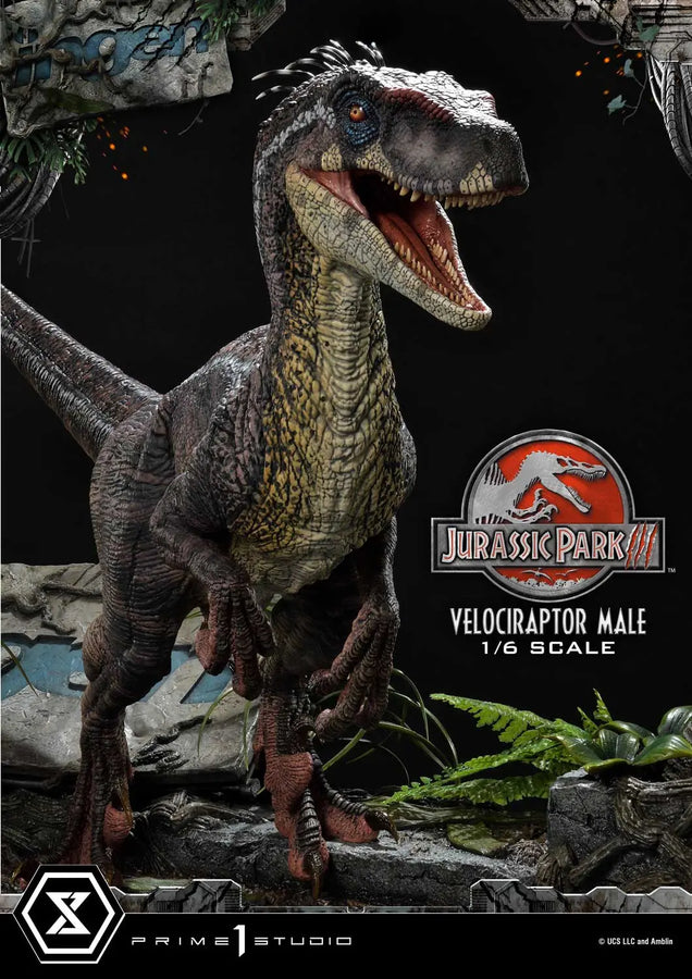 Velociraptor Male (Bonus Version) Jurassic Park III (Film) – Prime1Studio – ActionFigure Brasil
