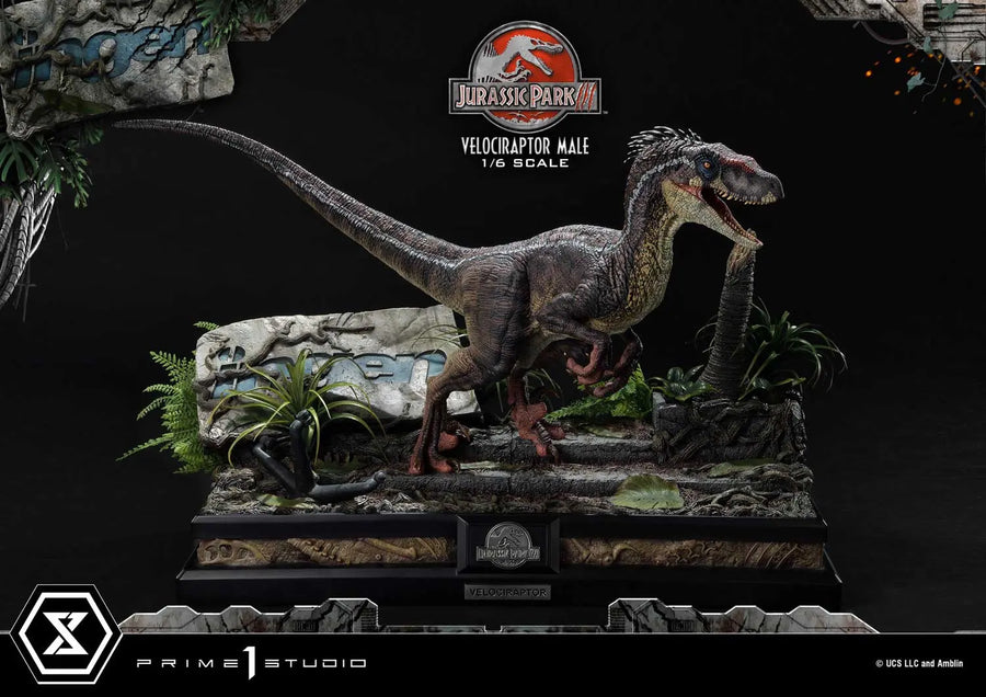 Velociraptor Male (Bonus Version) Jurassic Park III (Film) – Prime1Studio – ActionFigure Brasil