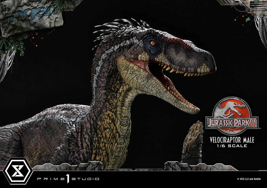 Velociraptor Male (Bonus Version) Jurassic Park III (Film) – Prime1Studio – ActionFigure Brasil