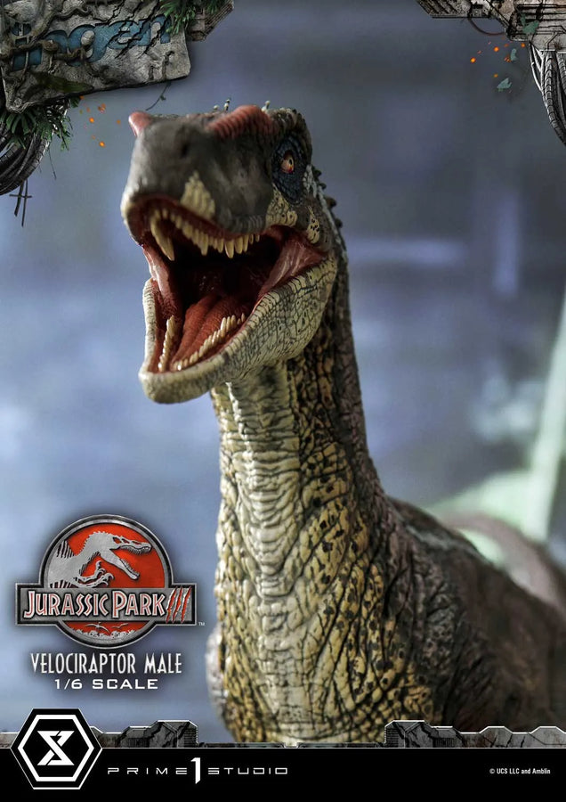 Velociraptor Male (Bonus Version) Jurassic Park III (Film) – Prime1Studio – ActionFigure Brasil