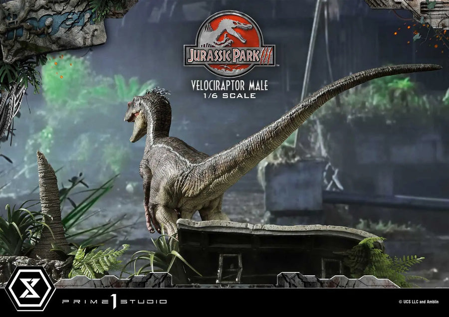 Velociraptor Male (Bonus Version) Jurassic Park III (Film) – Prime1Studio – ActionFigure Brasil