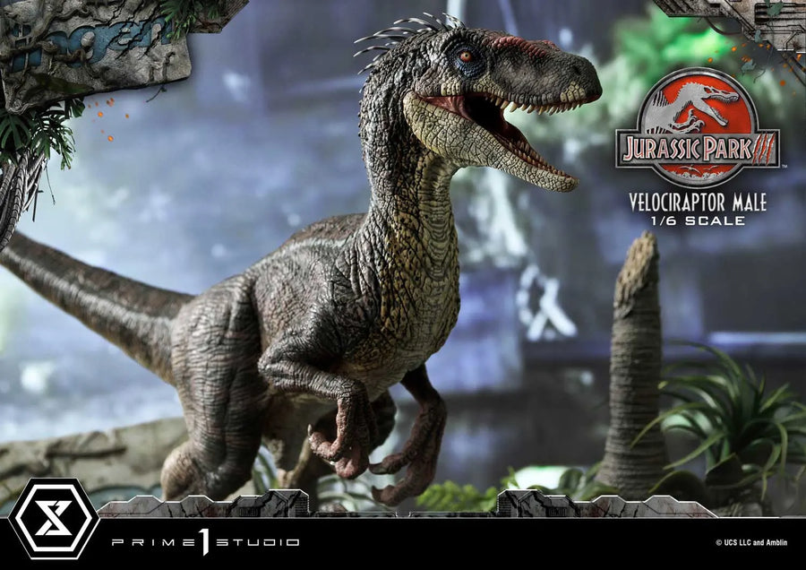 Velociraptor Male (Bonus Version) Jurassic Park III (Film) – Prime1Studio – ActionFigure Brasil