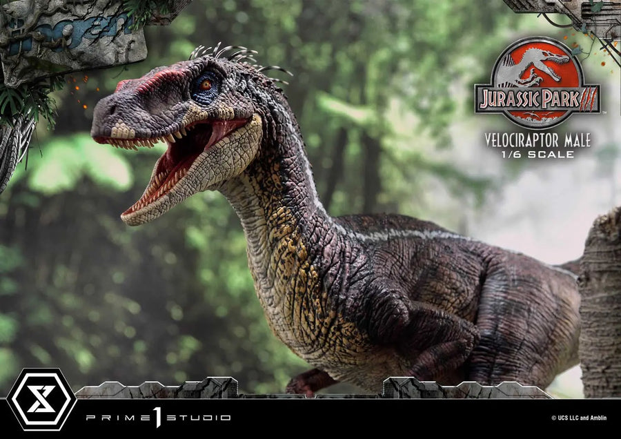 Velociraptor Male (Bonus Version) Jurassic Park III (Film) – Prime1Studio – ActionFigure Brasil