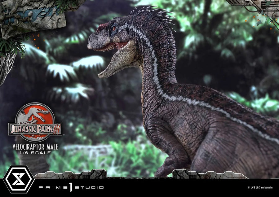 Velociraptor Male (Bonus Version) Jurassic Park III (Film) – Prime1Studio – ActionFigure Brasil