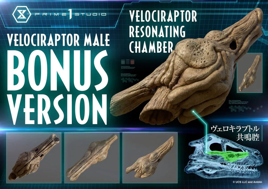 Velociraptor Male Bonus Version - LIMITED EDITION: TBD (Bonus Version) – Prime 1 Studio – ActionFigure Brasil
