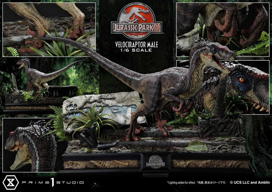 Velociraptor Male Bonus Version - LIMITED EDITION: TBD (Bonus Version) – Prime 1 Studio – ActionFigure Brasil