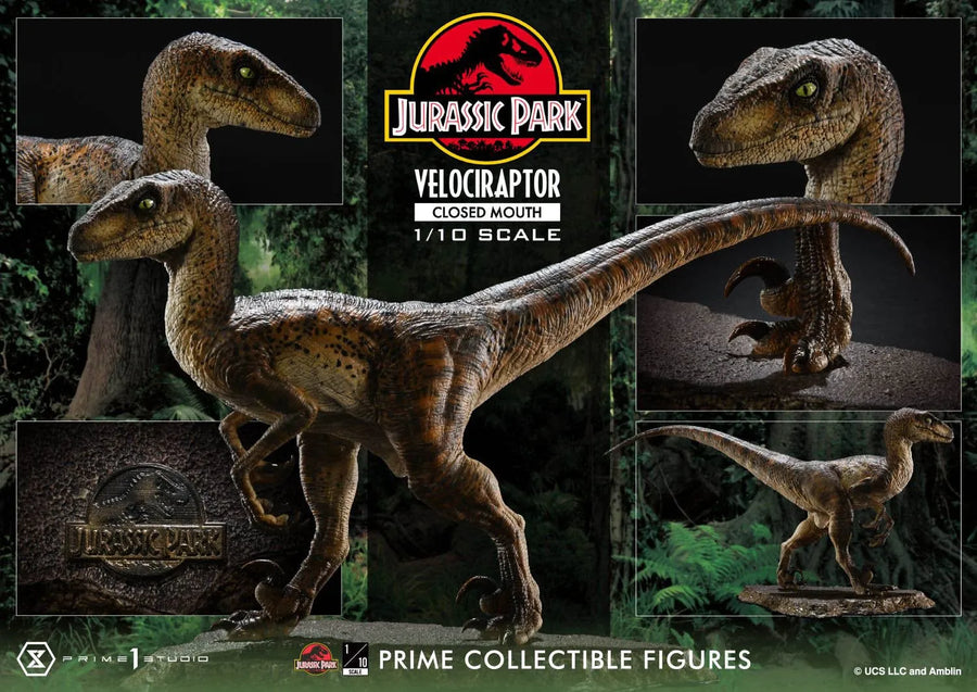 Velociraptor (Regular Version) Jurassic Park (Film) – Prime1Studio – ActionFigure Brasil