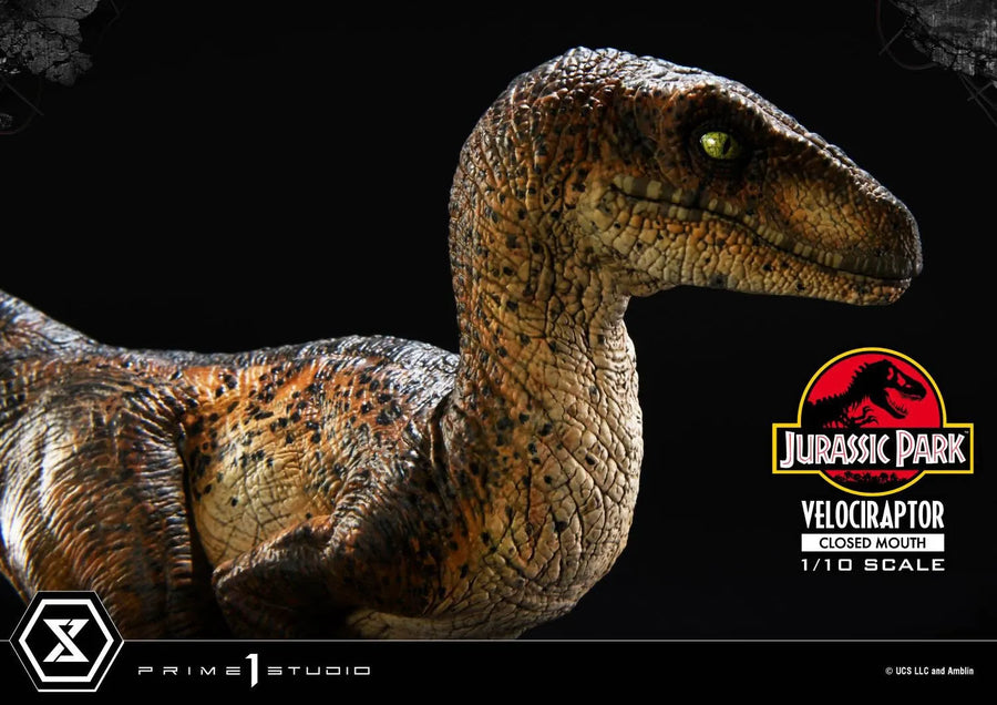 Velociraptor (Regular Version) Jurassic Park (Film) – Prime1Studio – ActionFigure Brasil