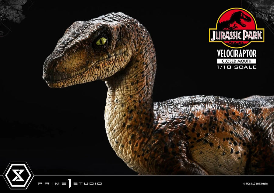 Velociraptor (Regular Version) Jurassic Park (Film) – Prime1Studio – ActionFigure Brasil