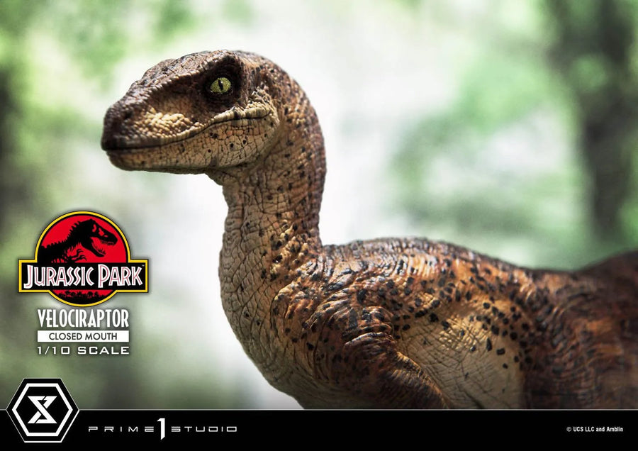 Velociraptor (Regular Version) Jurassic Park (Film) – Prime1Studio – ActionFigure Brasil