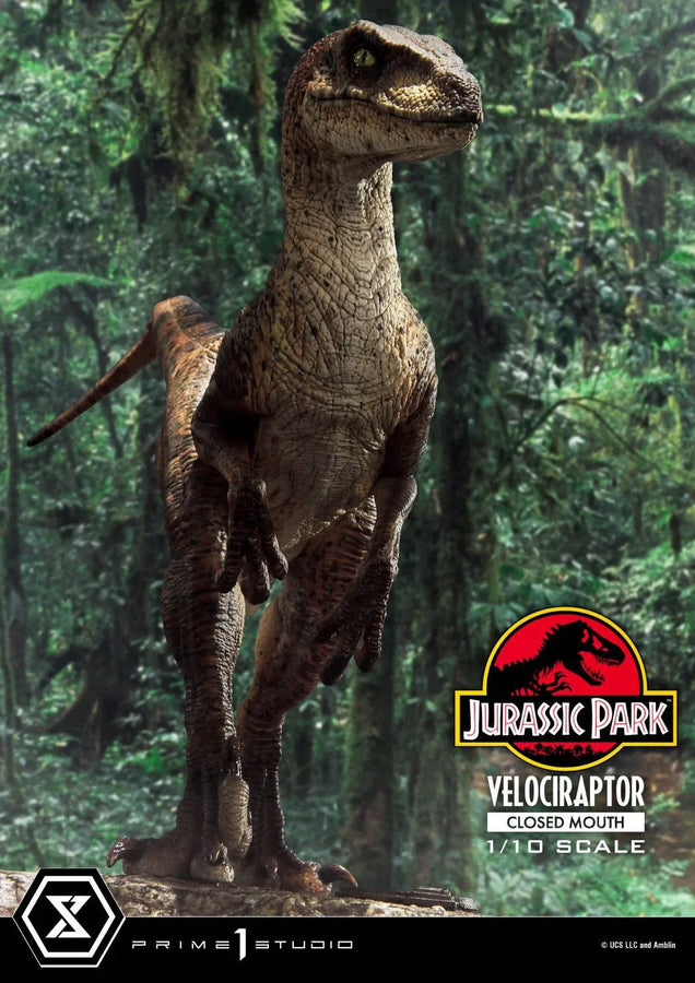 Velociraptor (Regular Version) Jurassic Park (Film) – Prime1Studio – ActionFigure Brasil