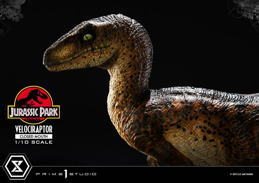 Velociraptor (Regular Version) Jurassic Park (Film) – Prime1Studio – ActionFigure Brasil
