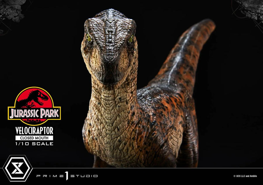 Velociraptor (Regular Version) Jurassic Park (Film) – Prime1Studio – ActionFigure Brasil