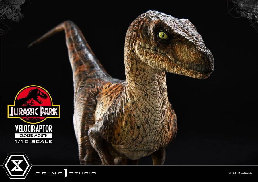 Velociraptor (Regular Version) Jurassic Park (Film) – Prime1Studio – ActionFigure Brasil