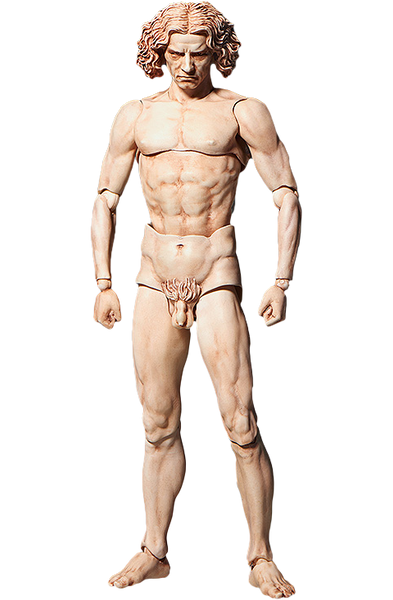 Vitruvian Man Figma – FREEing – ActionFigure Brasil — embalagem
