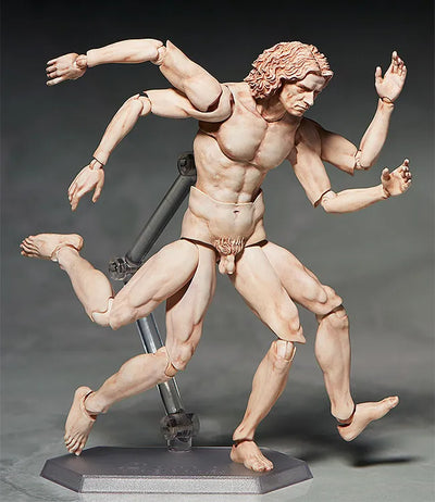 Vitruvian Man Figma – FREEing – ActionFigure Brasil — com base expositora